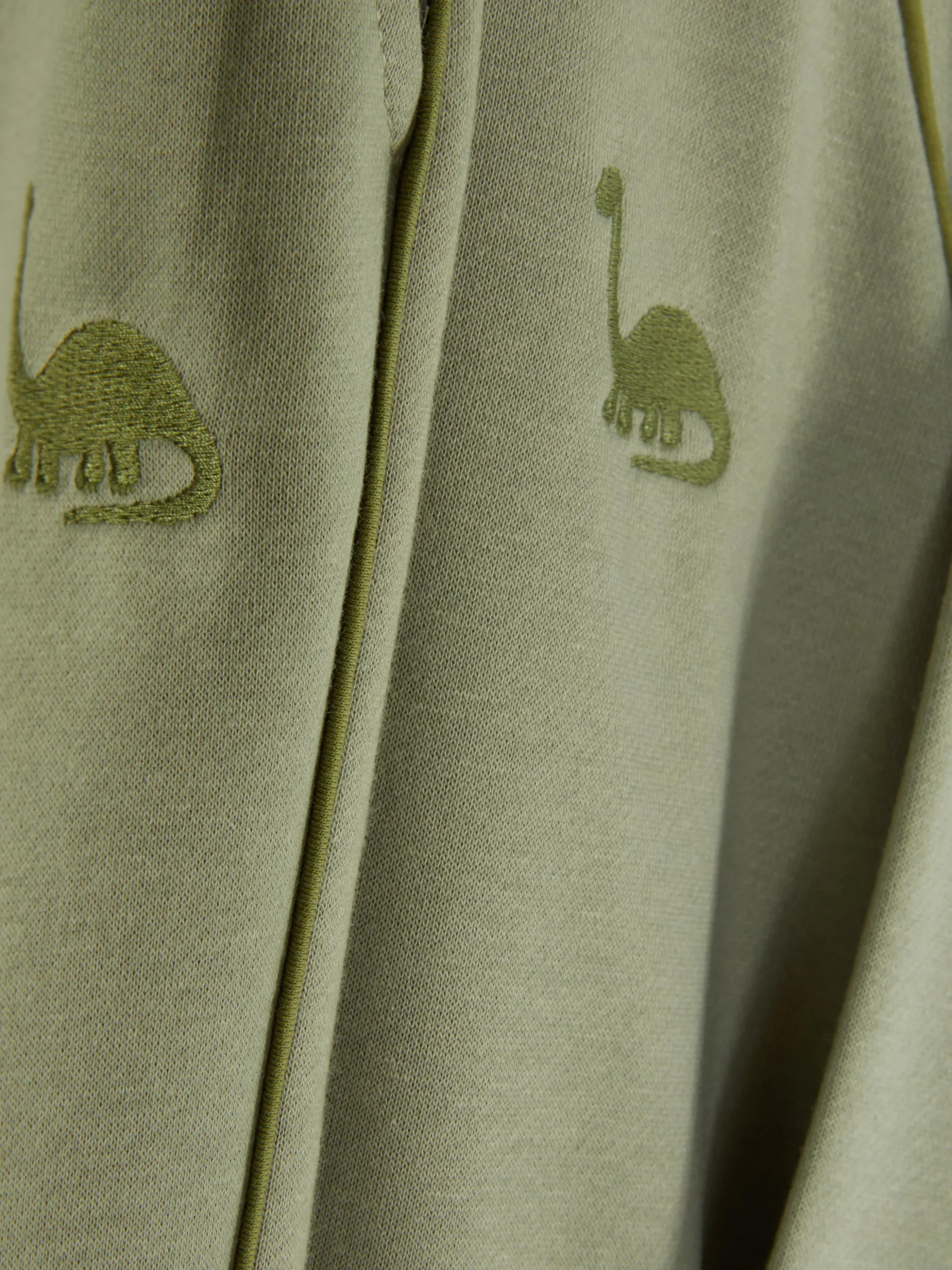 Conjunto Camisola E Calças De Treino Dinossauro Coordenado