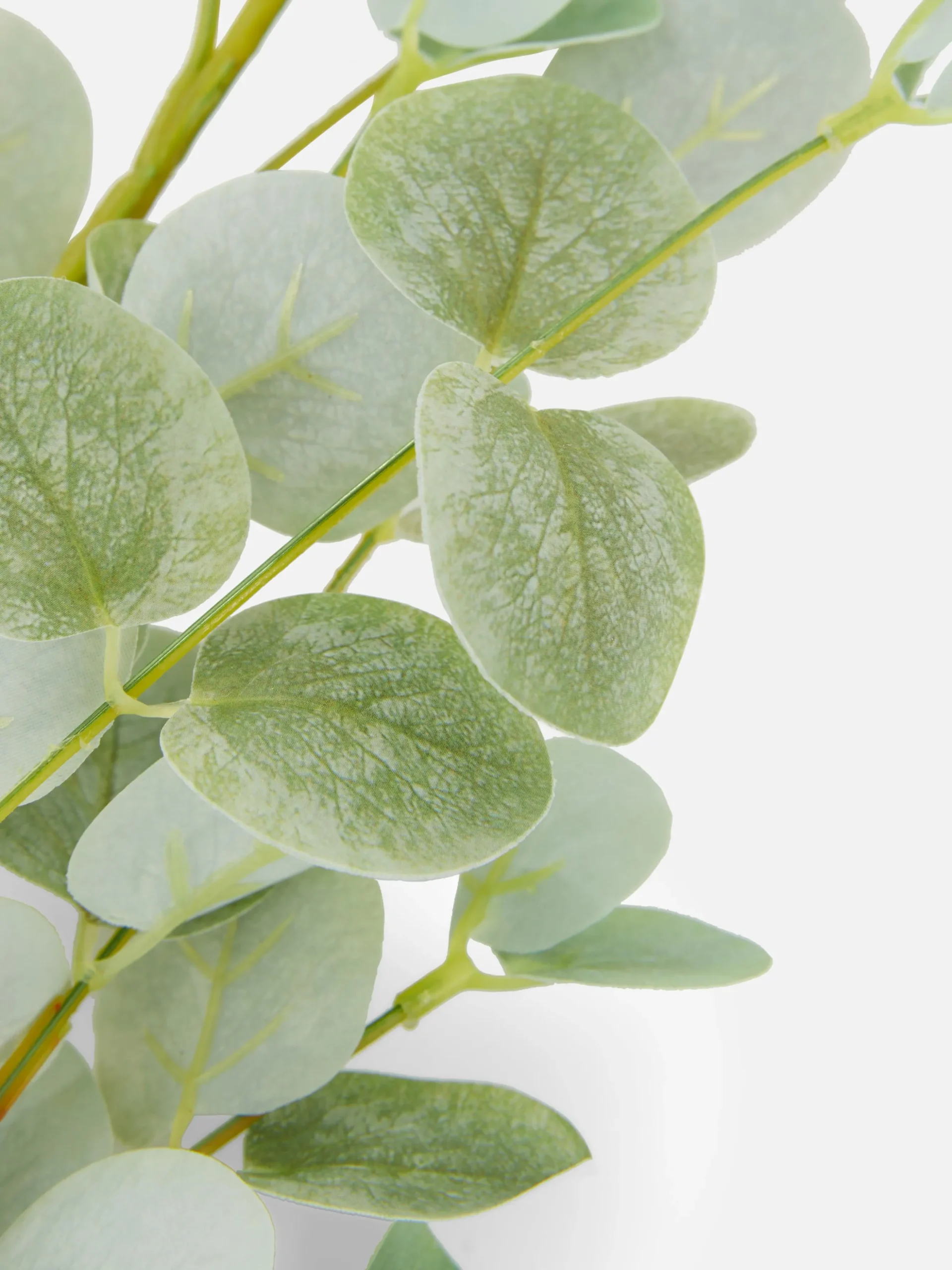 Eucalipto Artificial De Haste única