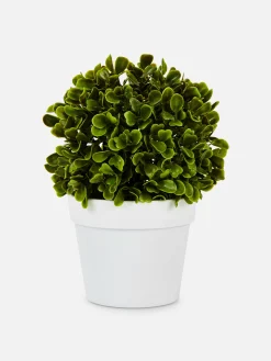 Suculenta Artificial Vaso